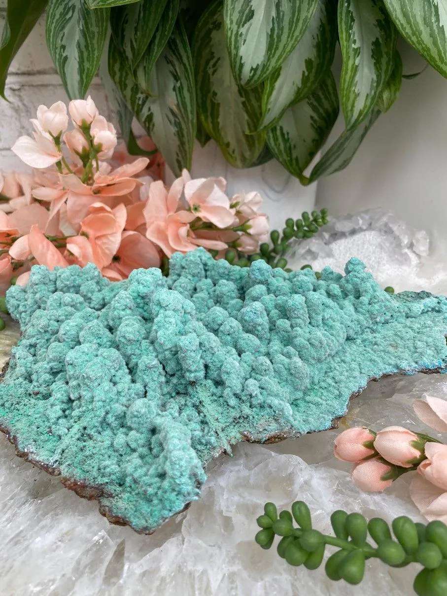 Large Kobyashevite Crystal