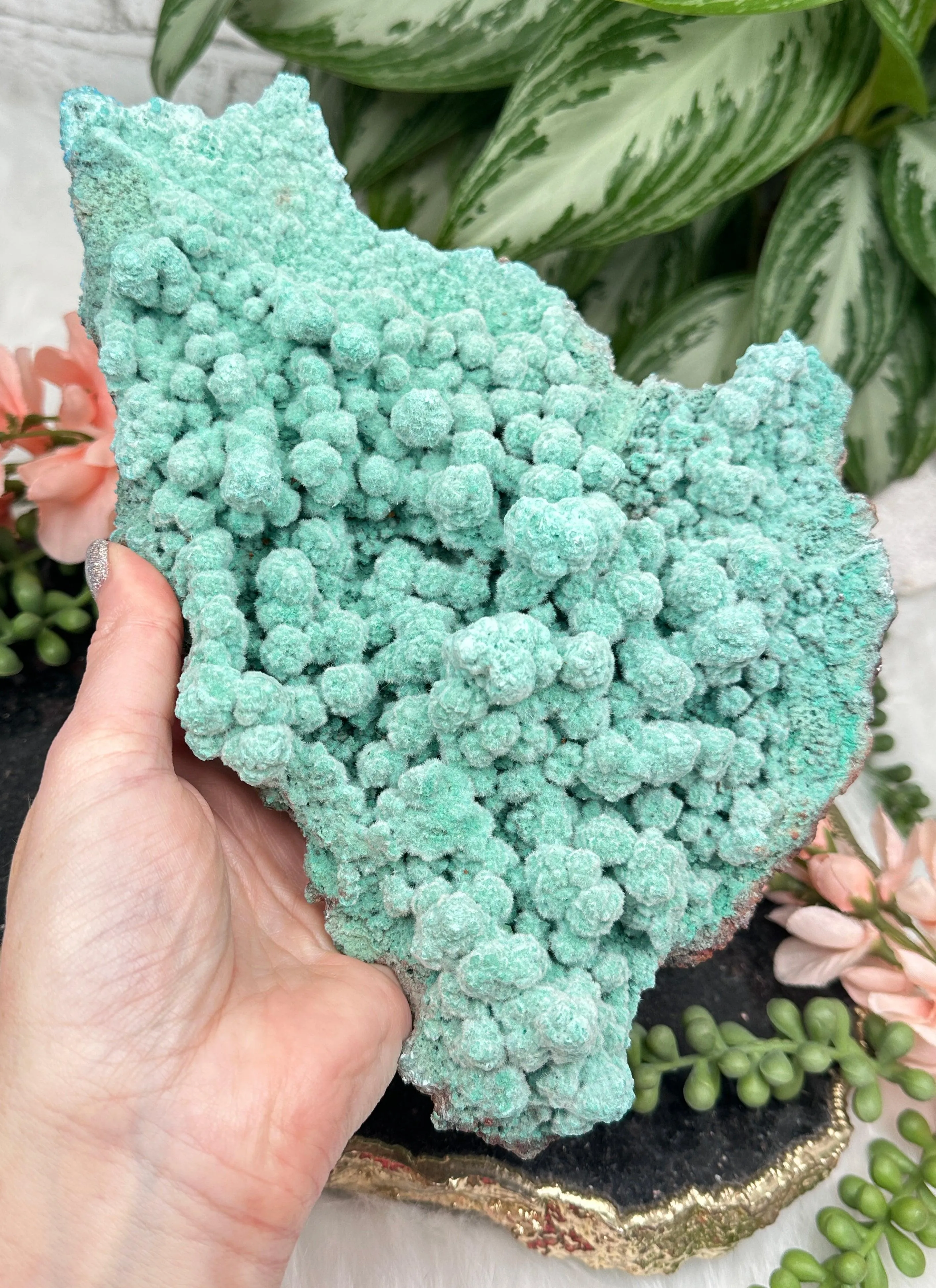 Large Kobyashevite Crystal