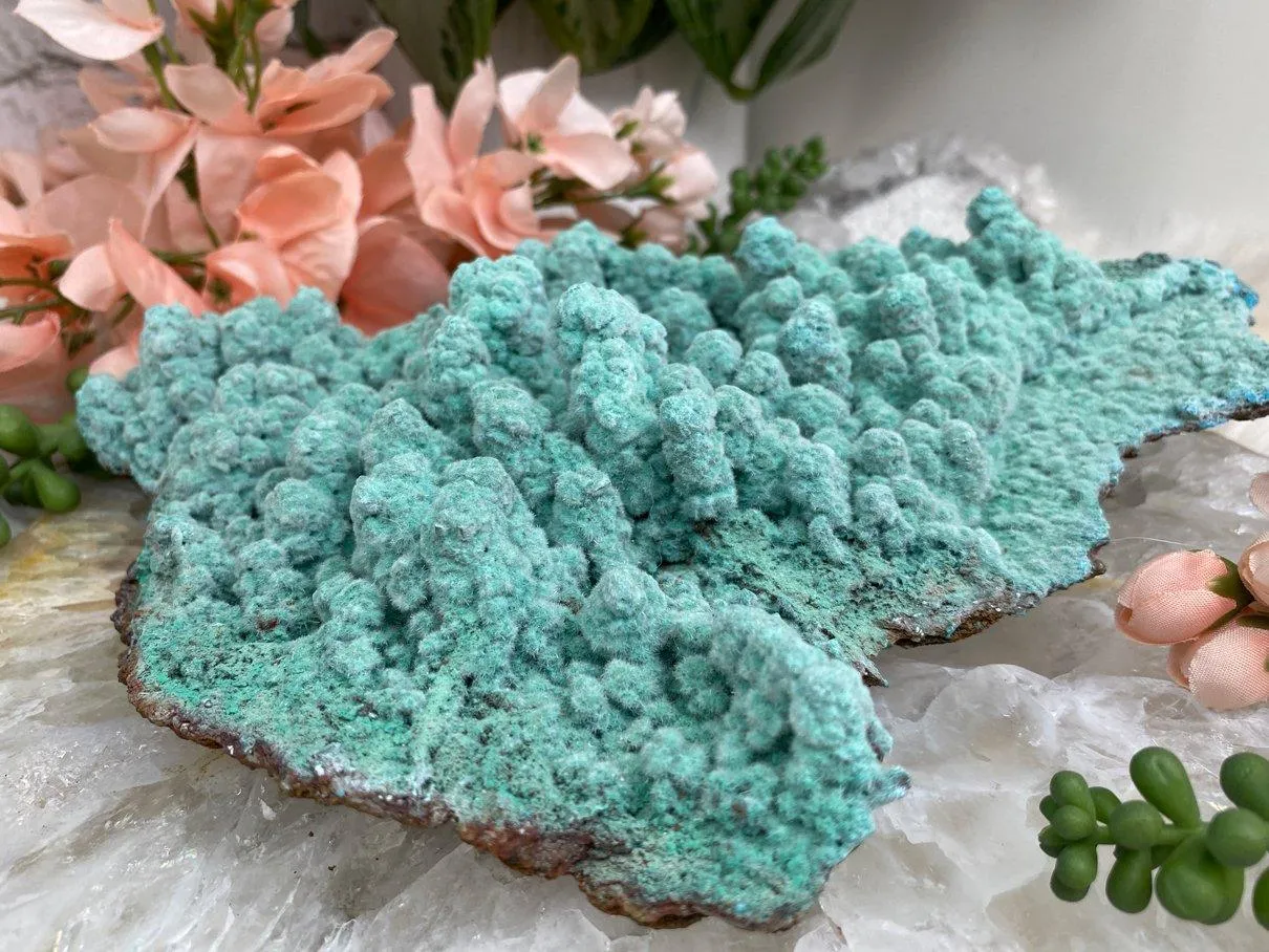 Large Kobyashevite Crystal