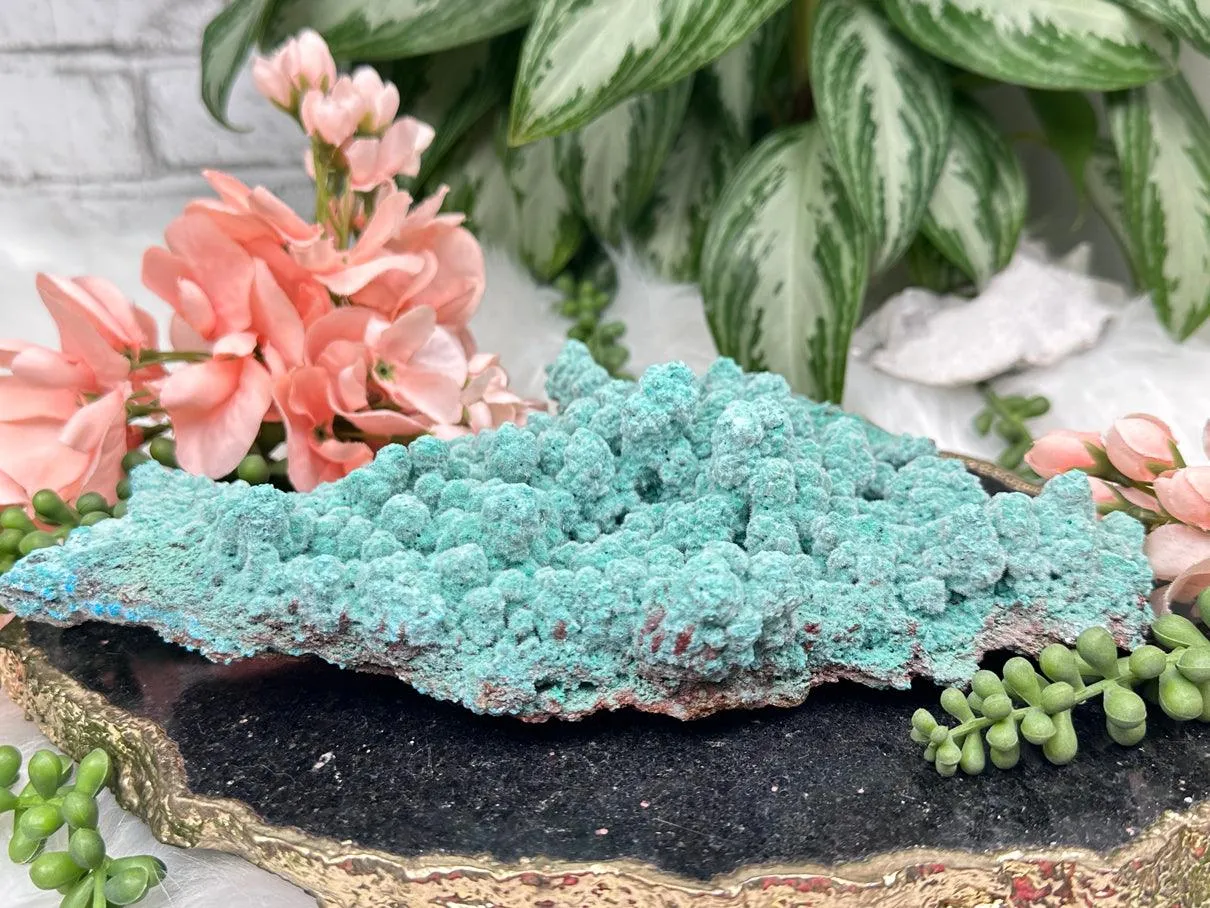 Large Kobyashevite Crystal