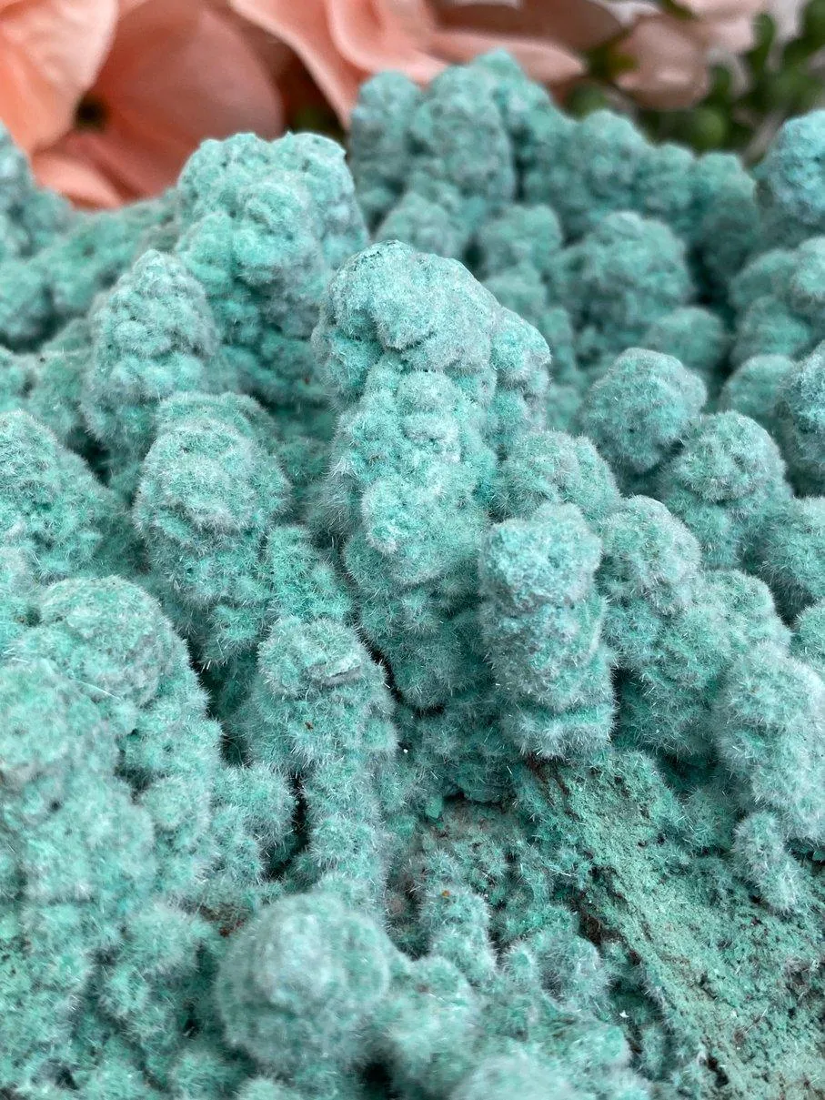 Large Kobyashevite Crystal