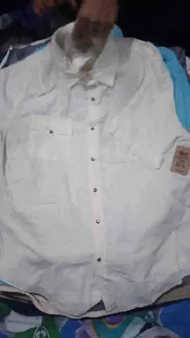 Man's 90's vintage Levis and Lee shirts
