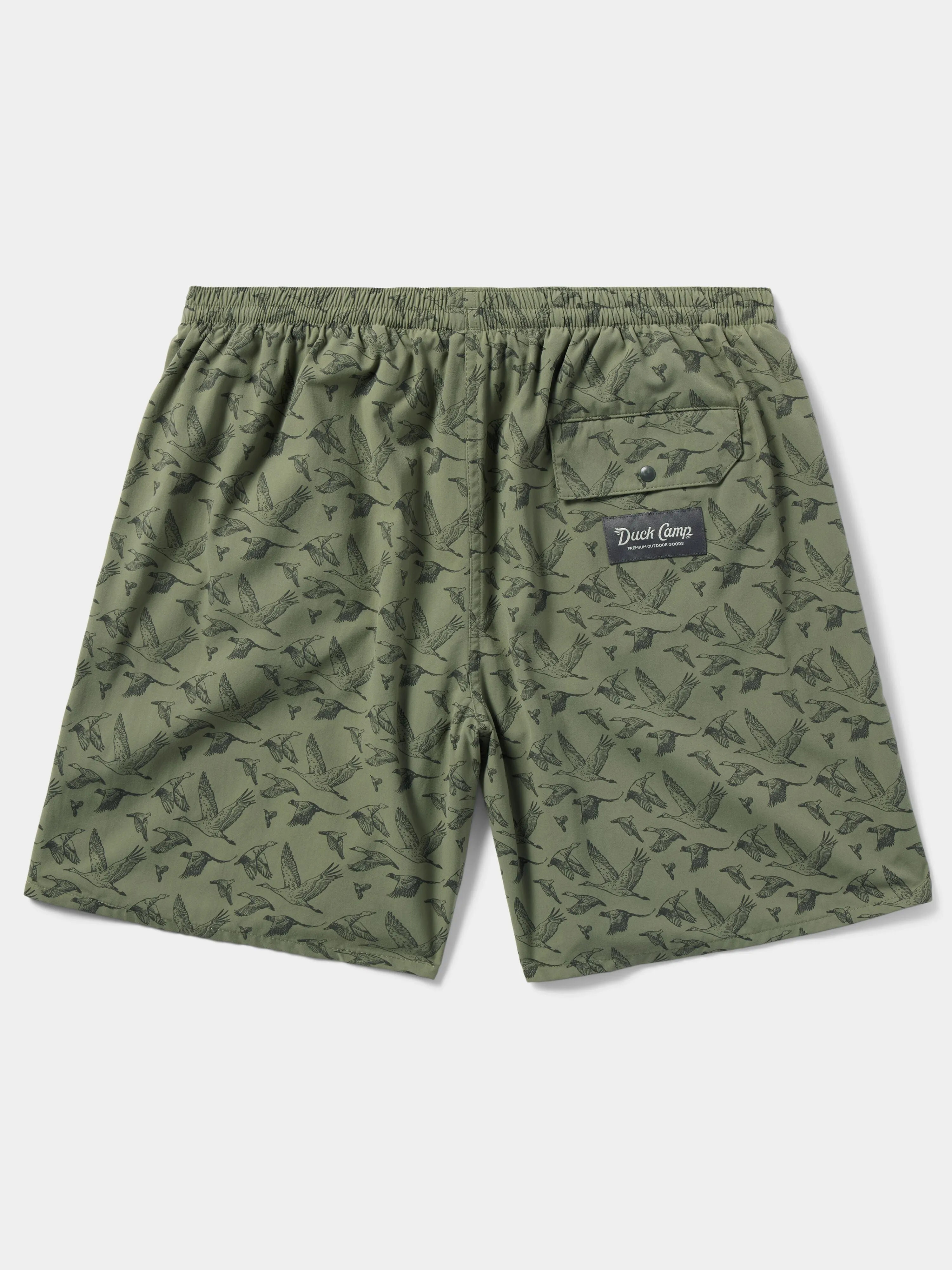 M's Scout Shorts 7in - Birds of a Feather